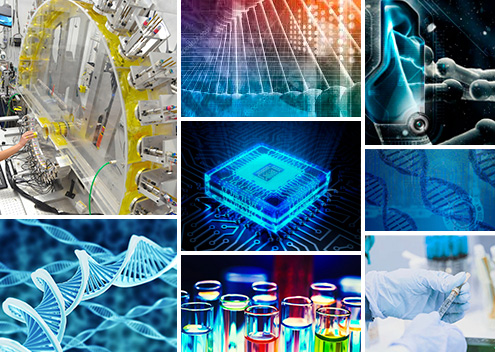 Collage_image Collage_image